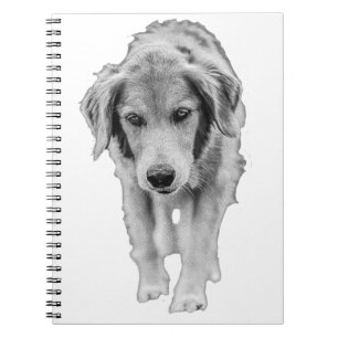 Notes with a Brave Walker Notebook