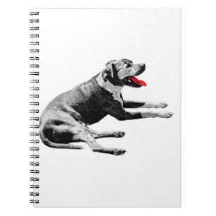 Notes with a Red-Tongue Lounger Notebook