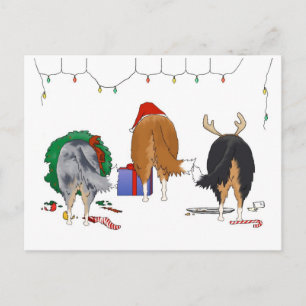 Nothin' Butt A Collie Christmas Holiday Postcard
