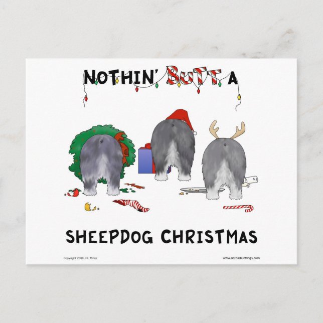 Nothin' Butt A Sheepdog Christmas Holiday Postcard (Front)