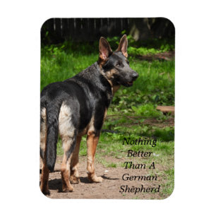 Nothing Better Than A German Shepherd Dog Magnet