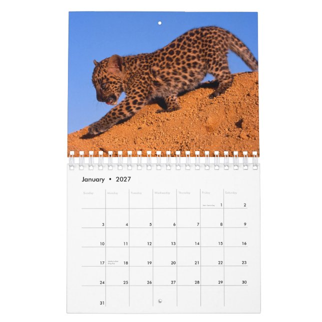 Nothing but Leopards - 2018 Calendar (Jan 2027)