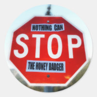 Nothing Can STOP th Honey Badger