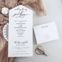 Nothing Fancy Just Love All in One Wedding Invite