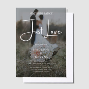 Nothing Fancy Just Love Photo Wedding Vellum Invitations