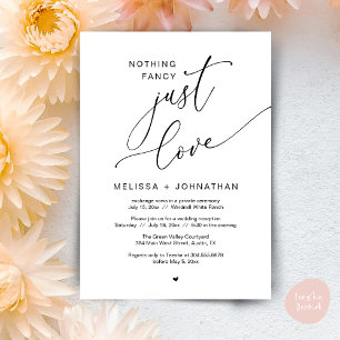 Nothing Fancy, Just Love, Wedding Reception Party Invitation