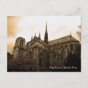 Notre Dame Cathedral Postcard