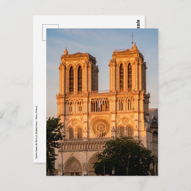 Notre Dame de Paris at Golden Hour - Paris, France Postcard (Front/Back)
