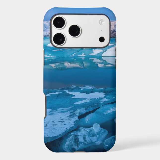 Notre Dame | Emblem Case-Mate  (Back)