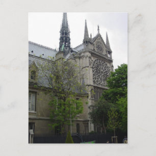 Notre Dame  Postcard