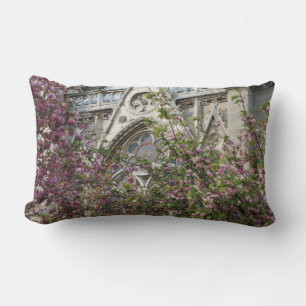 Notre Dame spring Lumbar Cushion