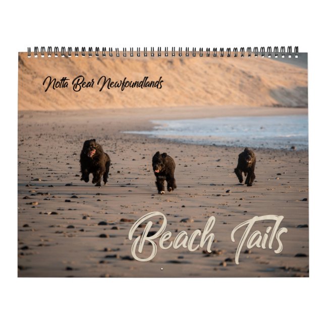 Notta Bear Newfoundlands Oregon Beach Calendar (Cover)