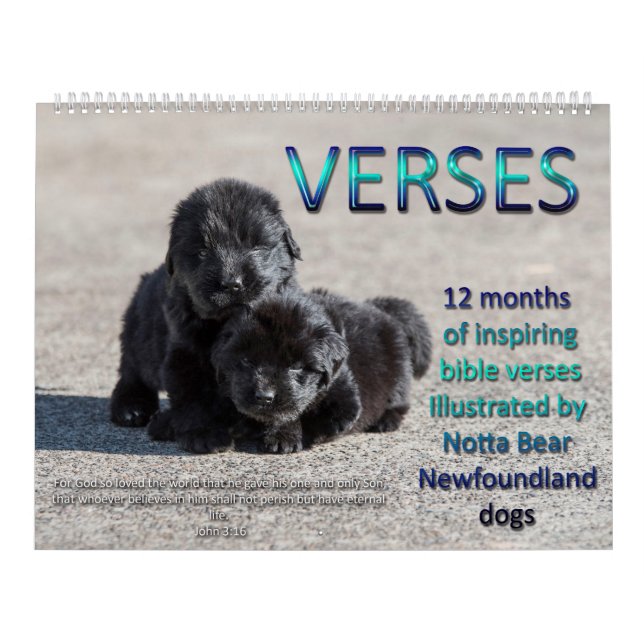 Notta Bear Newfoundlands Verses Calendar (Cover)