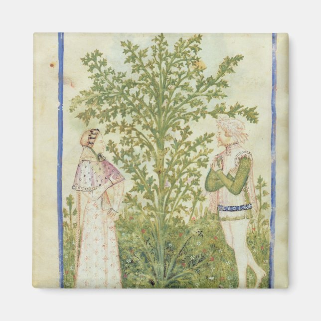 Nouv Acq Lat Celery, from 'Tacuinum Sanitatis' Magnet (Front)