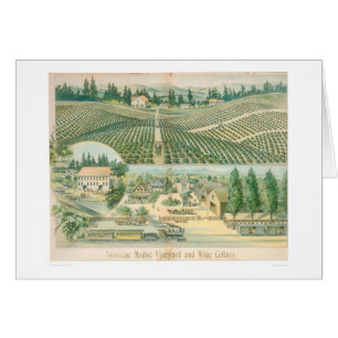 Nouveau Medoc Vineyard and Wine Cellars (1213A)
