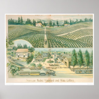 Nouveau Medoc Vineyard and Wine Cellars (1213A) Poster