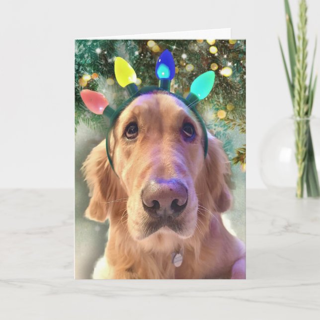 Nova Girl's Christmas Lights- Golden Retriever Dog Holiday Card (Front)