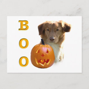 Nova Scotia Duck Tolling Boo Postcard