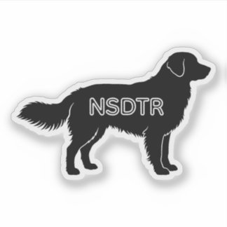 Nova Scotia Duck Tolling Retriever