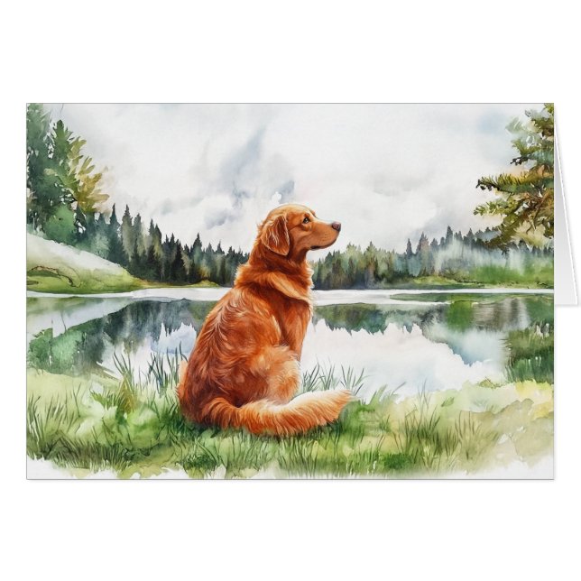 Nova Scotia Duck Tolling Retriever - 5" x 7" Card (Front Horizontal)