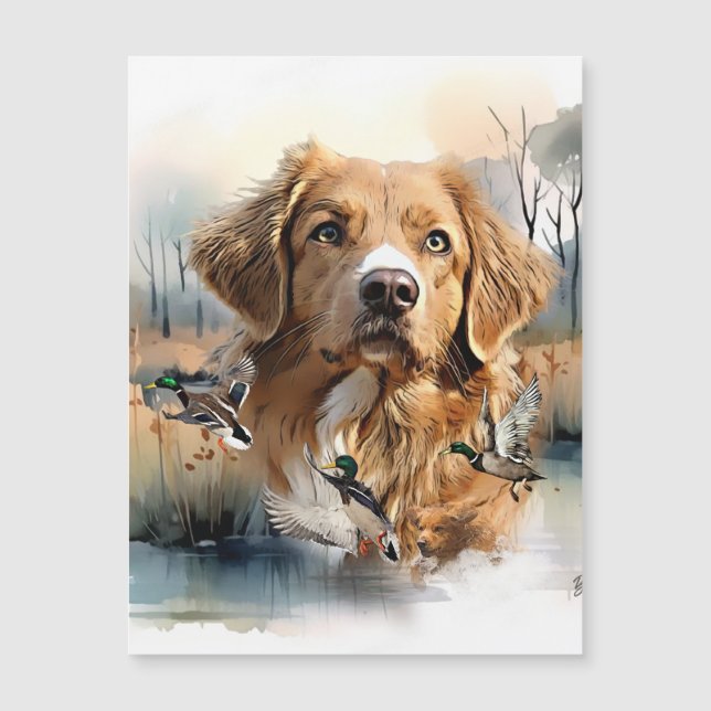 Nova Scotia Duck Tolling Retriever, Art (Front)
