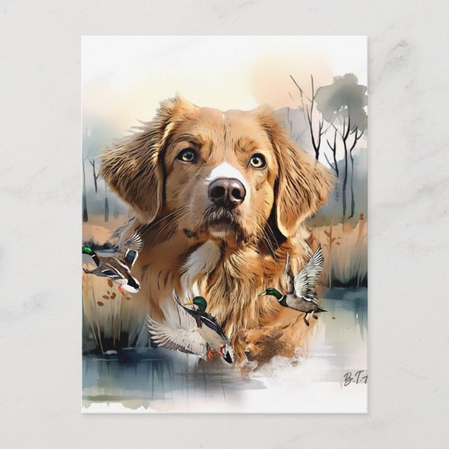 Nova Scotia Duck Tolling Retriever, Art Postcard (Front)