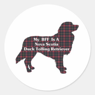 Nova Scotia Duck Tolling Retriever BFF Sticker