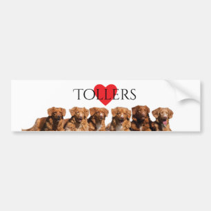 Nova Scotia Duck Tolling Retriever Bumper Sticker