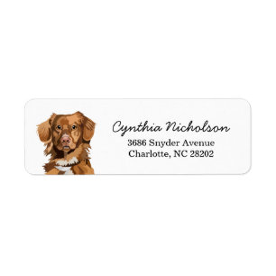 Nova Scotia Duck Tolling Retriever Dog