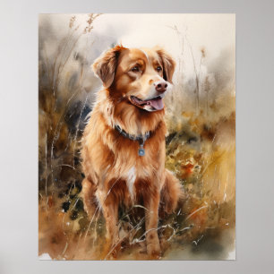 Nova Scotia Duck Tolling Retriever Dog Art Poster