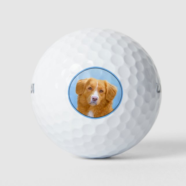 Nova Scotia Duck Tolling Retriever Dog Painting Golf Balls (Front)