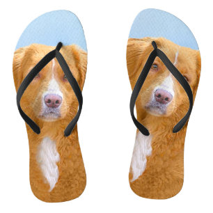 Nova Scotia Duck Tolling Retriever Dog Painting Jandals