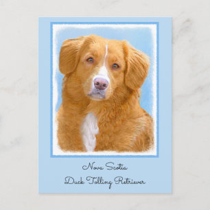 Nova Scotia Duck Tolling Retriever Dog Painting Postcard