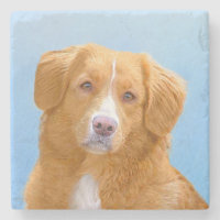 Nova Scotia Duck Tolling Retriever Dog Painting