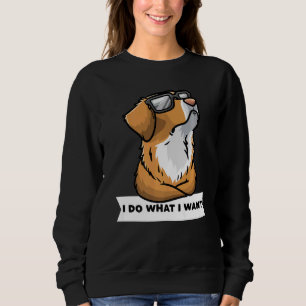 Nova Scotia Duck Tolling Retriever Dog With Sungla Sweatshirt