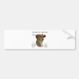 Nova Scotia Duck Tolling Retriever History Design Bumper Sticker