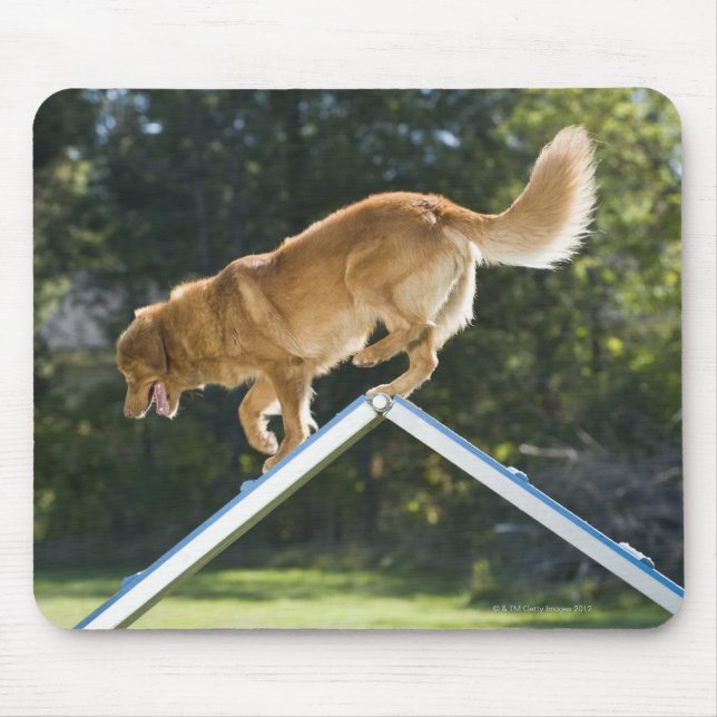 nova scotia duck-tolling retriever mouse pad (Front)