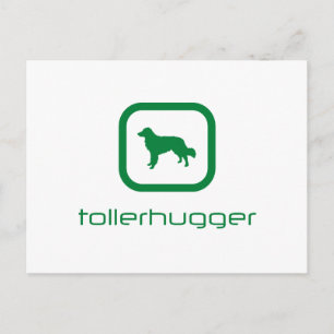 Nova Scotia Duck Tolling Retriever Postcard