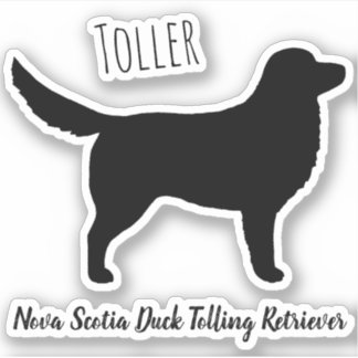 Nova Scotia Duck Tolling Retriever Silhouette