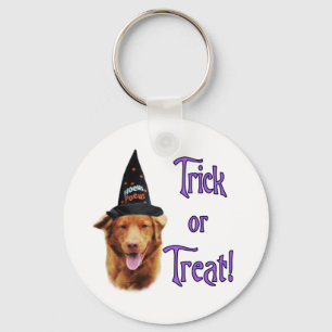 Nova Scotia Duck Tolling Retriever Trick Key Ring