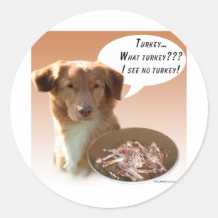 Nova Scotia Duck Tolling Retriever Turkey Classic Round Sticker
