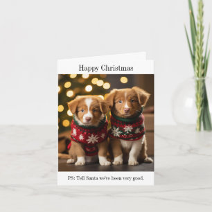 Nova Scotia Ducktolling Retriever Christmas Card