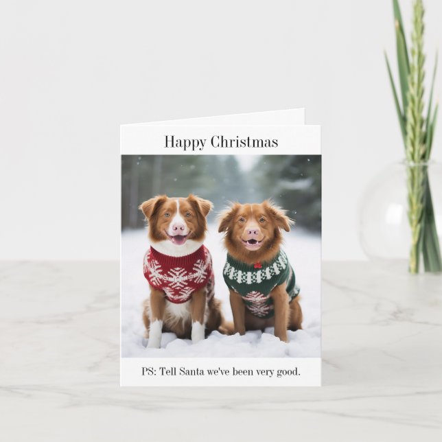 Nova Scotia Ducktolling Retrievers Christmas Card (Front)