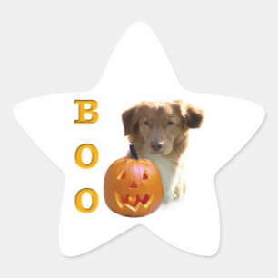 Nova Scotia Halloween BOO Star Sticker