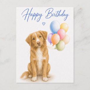 Nova Scotia Retriever Birthday Postcard