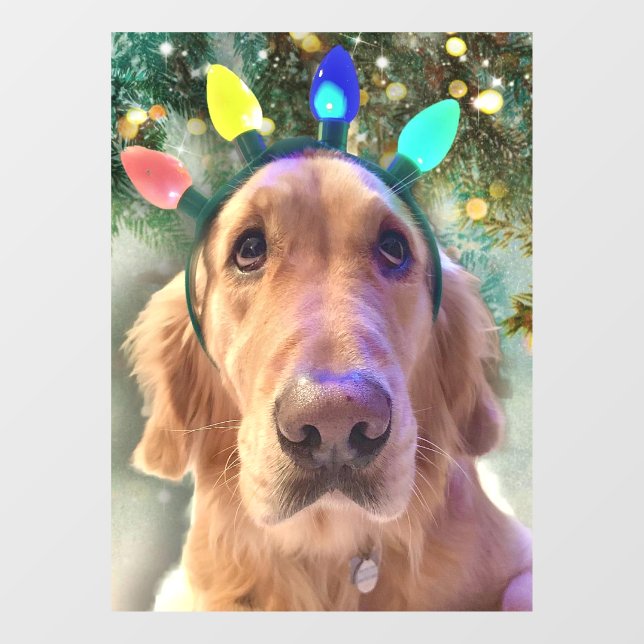 Nova The Golden Retriever Dog Christmas  (Sheet)