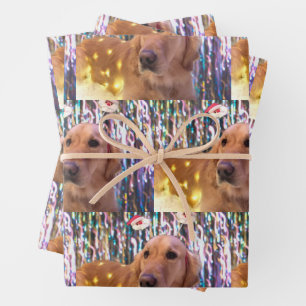 Nova the Golden Retriever - Wrapping Paper Sheets
