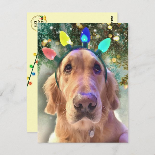 Nova The Golden Retriever's Christmas Postcard (Front/Back)