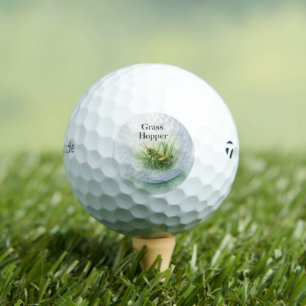 Novelty Golf Ball   Grass Hopper Fun Golf Gift