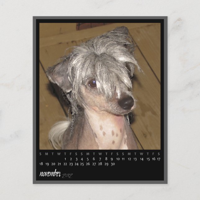 november 2012 calendar (Front)